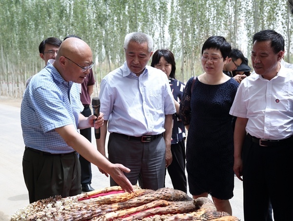 屠鹏飞（左一）向全国政协主席邵鸿（左二）介绍肉苁蓉药材.jpg