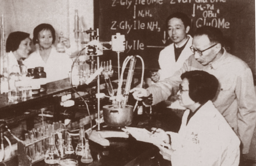 首次人工合成牛胰岛素