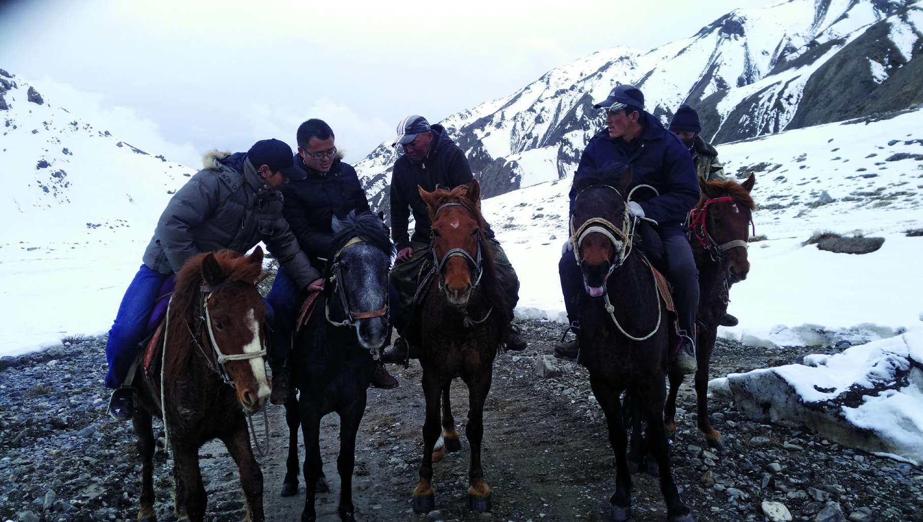 选调生