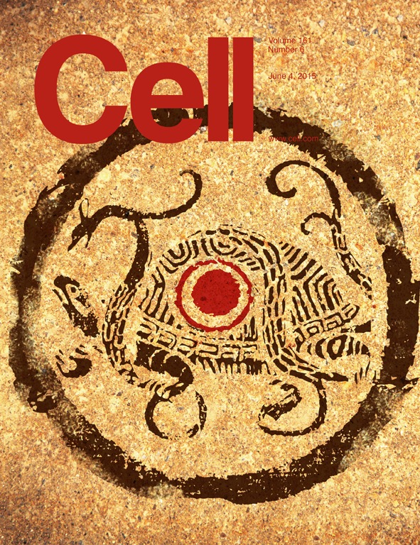 2015cover.tif (1).jpg 2015cover.tif (1).jpg