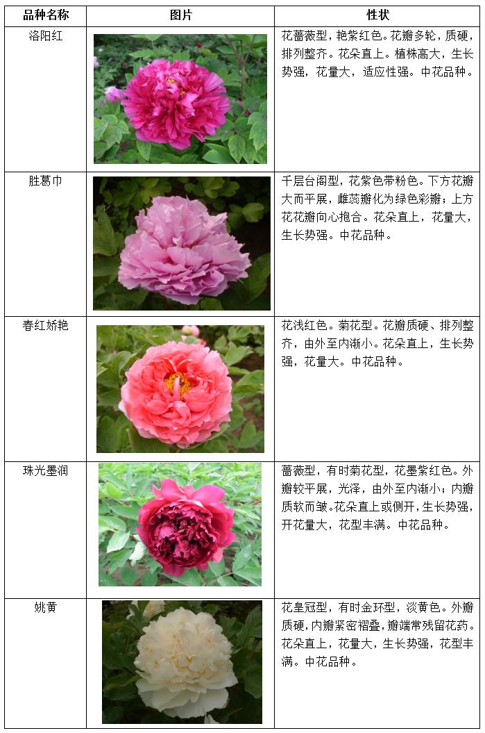 3ffc02a1372a4aed9852dc73071faffd.jpg 1.jpg