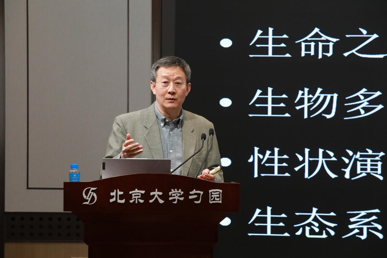 图片 4.png