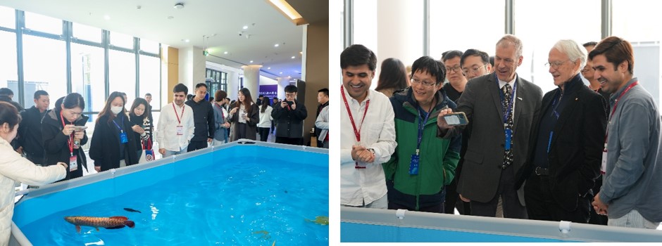 13 与会者观看仿生机器鱼.jpg 13 与会者观看仿生机器鱼.jpg