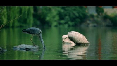 c2538dc02b584e25a81b77eea64b4e8f.gif 640 (1).gif