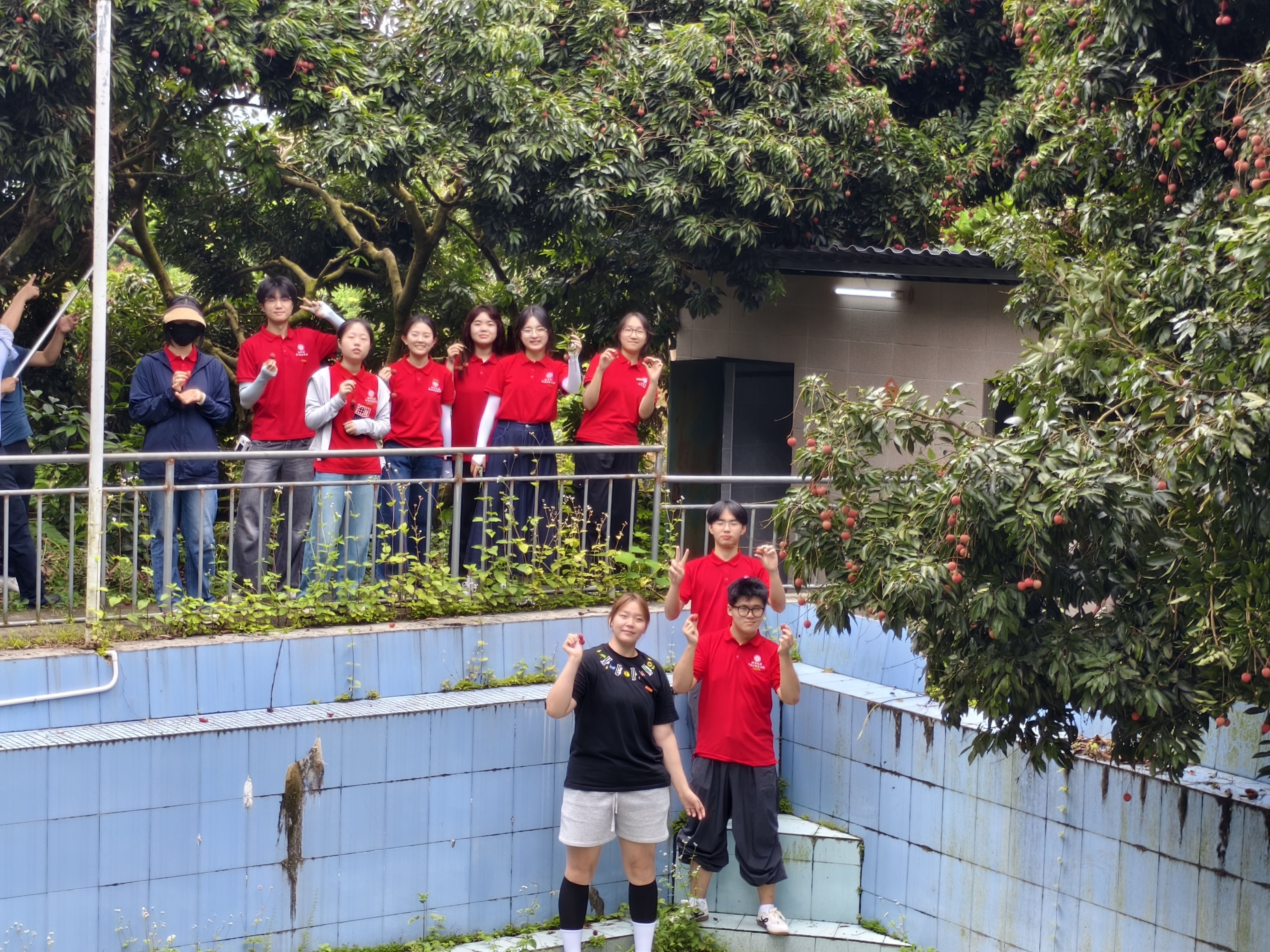 实践团在当地农庄帮助采摘荔枝.jpg